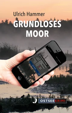Ulrich Hammer Grundloses Moor обложка книги