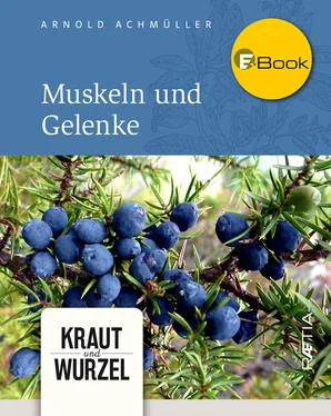 Arnold Achmüller Muskeln und Gelenke обложка книги