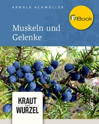 Arnold Achmüller - Muskeln und Gelenke
