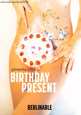 Pimenta Cítrica Birthday Present обложка книги