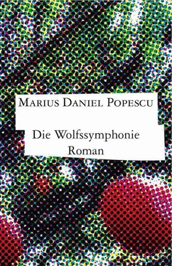 Marius Daniel Popescu Die Wolfssymphonie обложка книги
