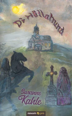 Susanne Kahle Dr´ Höllahund обложка книги