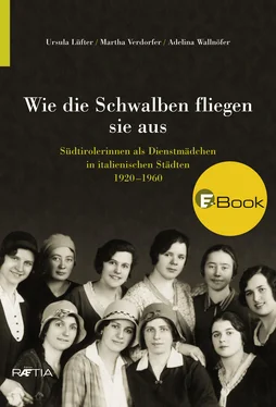 Ursula Lüfter Wie die Schwalben fliegen sie aus обложка книги