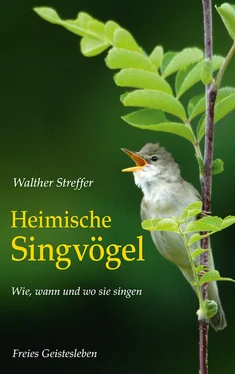 Walther Streffer Heimische Singvögel обложка книги