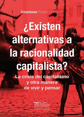 Crisóstomo Pizarro Contador ¿Existen alternativas a la racionalidad capitalista? обложка книги