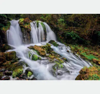 Fotografía de naturaleza - фото 3