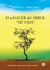 Silvana A. Menchini - El reNACERdel árbol