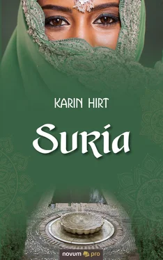 Karin Hirt Suria обложка книги