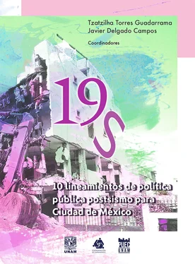 Tzatzilha Torres Guadarrama 19S.10 lineamientos de política pública postsismo para Ciudad de México обложка книги