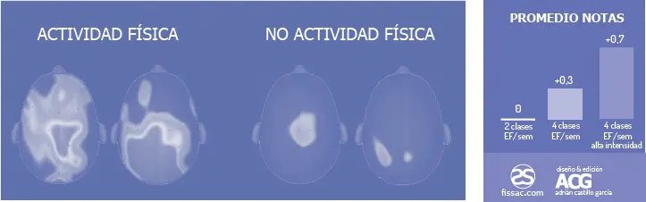 Gamo 2016 en su artículo El cerebro necesita emocionarse para aprender - фото 15