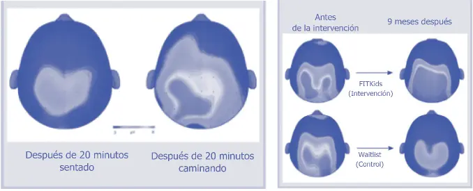 Para cerrar este apartado cabe mencionar que un estudio realizado por la - фото 17