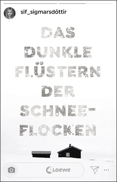 Sif Sigmarsdóttir Das dunkle Flüstern der Schneeflocken обложка книги