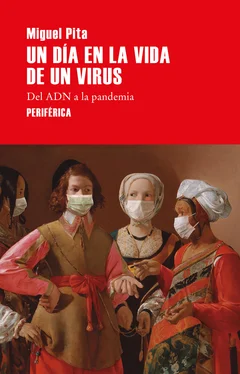 Miguel Pita Un día en la vida de un virus обложка книги