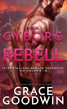 Grace Goodwin Mein Cyborg, der Rebell обложка книги