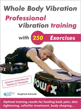 Siegfried Schmidt Whole Body Vibration. Professional vibration training with 250 Exercises. обложка книги