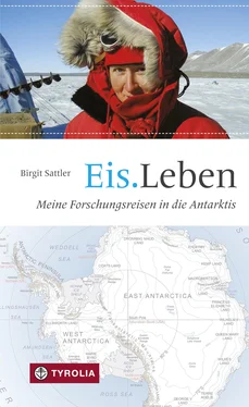 Birgit Sattler Eis.Leben обложка книги