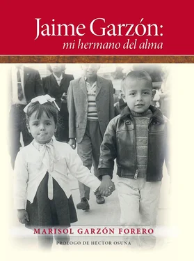 Marisol Garzón Forero Jaime Garzón: mi hermano del alma обложка книги