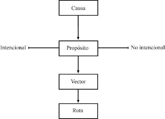 En plantas por ejemplo es posible reconocer diversos propósitos que inducen - фото 37