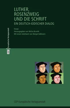 Franz Rosenzweig Luther, Rosenzweig und die Schrift обложка книги