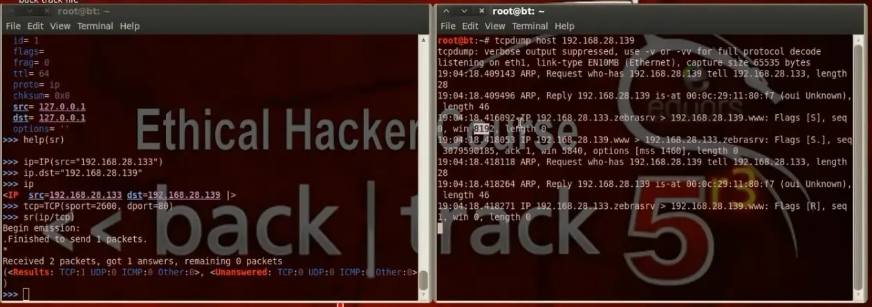 c Understanding the ping sweep technique It will find which devices are - фото 9