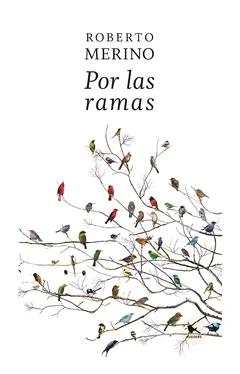 Roberto Merino Por las ramas обложка книги