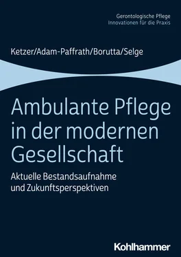 Ruth Ketzer Ambulante Pflege in der modernen Gesellschaft обложка книги