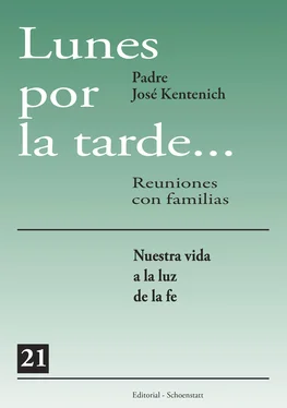 José Kentenich Lunes por la tarde... Reuniones con familias - 21 обложка книги