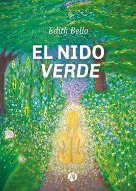 Edith Bello El nido verde обложка книги