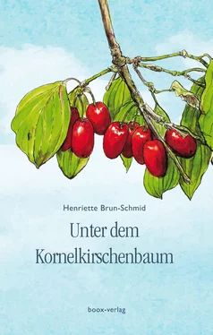 Henriette Brun-Schmid Unter dem Kornelkirschenbaum обложка книги