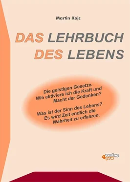 Martin Kojc Das Lehrbuch des Lebens - Die geistigen Gesetze обложка книги