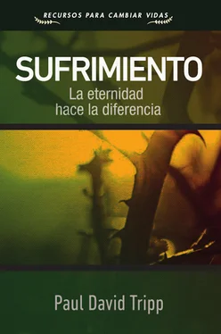 Paul David Tripp Sufrimiento обложка книги