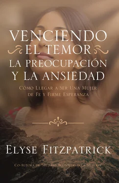 Elyse Fitzpatrick Venciendo el Temor, la Preocupación y la Ansiedad обложка книги