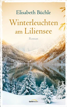 Elisabeth Büchle Winterleuchten am Liliensee обложка книги