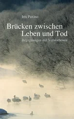 Iris Paxino - Brücken zwischen Leben und Tod