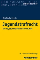 Sabine Swoboda - Jugendstrafrecht
