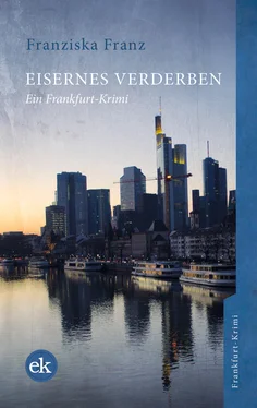 Franziska Franz Eisernes Verderben обложка книги