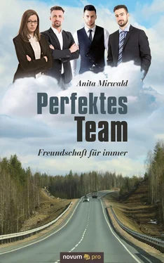 Anita Mirwald Perfektes Team обложка книги