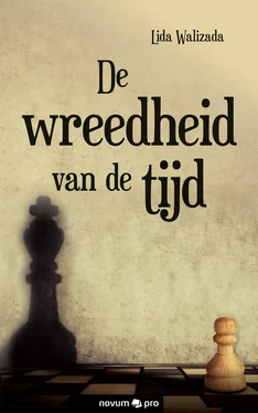 Lida Walizada De wreedheid van de tijd обложка книги