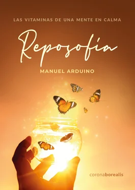 Manuel Arduino Reposofía обложка книги