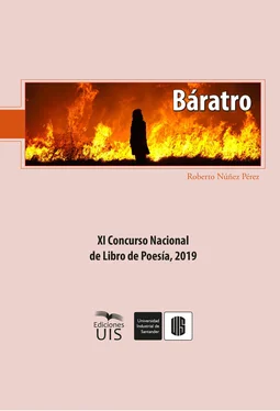 Roberto Núñez Báratro обложка книги