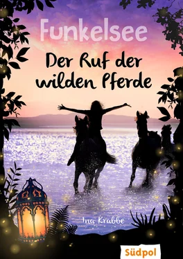 Ina Krabbe Funkelsee – Der Ruf der wilden Pferde (Band 4) обложка книги