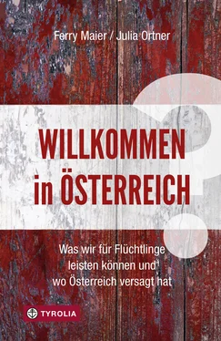 Ferry Maier Willkommen in Österreich? обложка книги