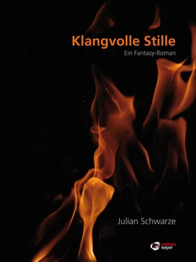 Julian Schwarze Klangvolle Stille обложка книги