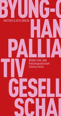 Byung-Chul Han Palliativgesellschaft обложка книги