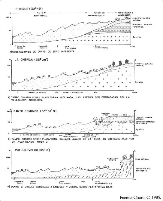 Figura 8 Secciones esquemáticas de la disposición característica de dunas - фото 37