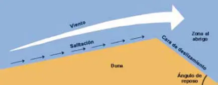 Figura 5 Frente de avance de una duna activa la arena acumulada cae por la - фото 25
