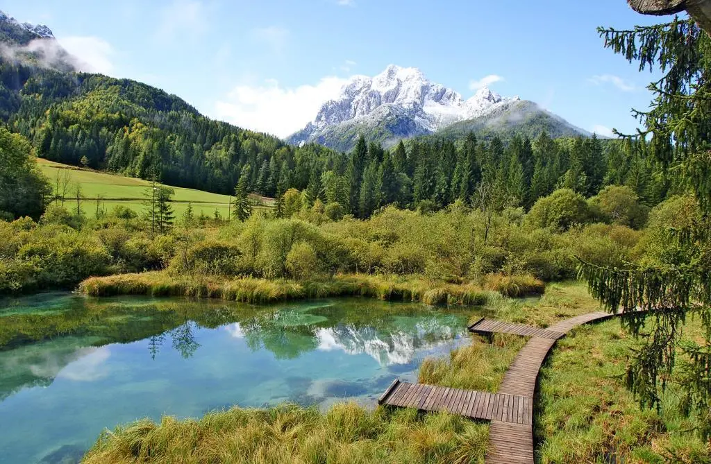 Das Naturschutzgebiet Zelenci hier entspringt die Sava Dolinka Rundtour für - фото 13