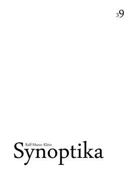 Ralf-Marco Klein Synoptika обложка книги
