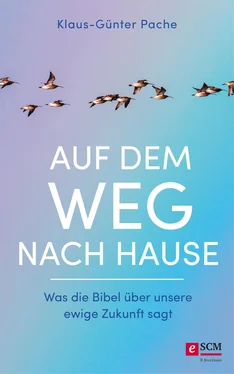 Klaus-Günter Pache Auf dem Weg nach Hause обложка книги