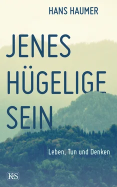 Hans Haumer Jenes hügelige Sein обложка книги